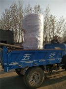  15吨大型热水多宝(中国)官方