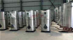  六吨燃油燃气蒸汽多宝(中国)官方