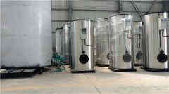  1吨冷凝燃气多宝(中国)官方