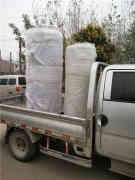  燃气多宝(中国)官方