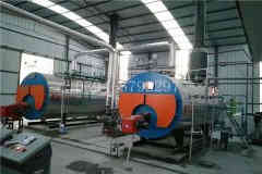  20吨卧式蒸汽多宝(中国)官方