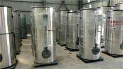  20吨冷凝燃气多宝(中国)官方