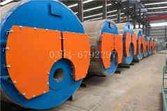  10吨低氮燃气多宝(中国)官方