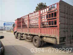  40万大卡常压热水多宝(中国)官方