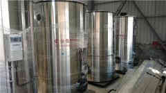 全自动燃煤多宝(中国)官方价格