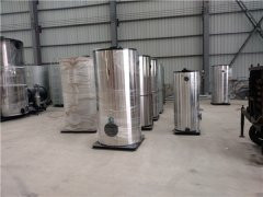 CWNS2.8型燃油气热水多宝(中国)官方