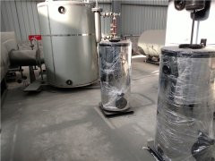 天然气低氮蒸汽多宝(中国)官方