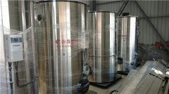 4吨燃油冷凝多宝(中国)官方