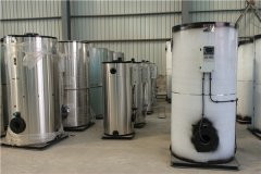 12吨冷凝燃油多宝(中国)官方