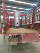 0.5吨低氮冷凝多宝(中国)官方