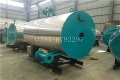 10吨生物质蒸汽多宝(中国)官方