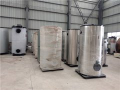 3吨天然气真空多宝(中国)官方