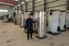 WNS20-1.25-QY型燃油气蒸汽多宝(中国)官方