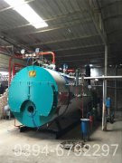 十吨燃煤蒸汽多宝(中国)官方