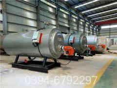 燃煤立式蒸汽多宝(中国)官方