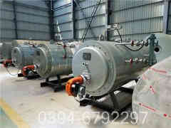 6吨生物质热水多宝(中国)官方