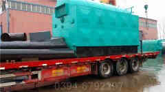 低氮冷凝蒸汽多宝(中国)官方