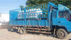 最小型燃煤蒸汽多宝(中国)官方