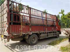 燃油燃气多宝(中国)官方公司