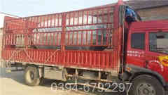 小型蒸汽多宝(中国)官方图片