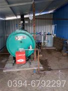 60万大卡低氮冷凝热水多宝(中国)官方