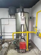 10万大卡冷凝低氮热水多宝(中国)官方