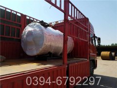 30万大卡冷凝低氮热水多宝(中国)官方