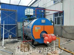 两吨低压热水多宝(中国)官方