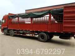 洗浴小型多宝(中国)官方哪家好