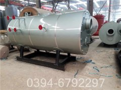 10t燃气多宝(中国)官方