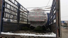 卧式燃气多宝(中国)官方价格