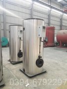 天然气蒸汽多宝(中国)官方厂