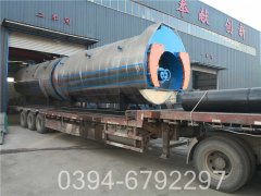 厂家直供太康多宝(中国)官方WNS0.5-1.0-Q型天然气多宝(中国)官方耗气量