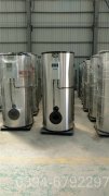 生物质蒸汽多宝(中国)官方生产厂家