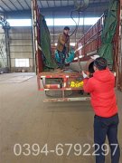 甲醇热水多宝(中国)官方
