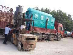 10t燃气蒸汽多宝(中国)官方