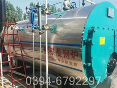 燃煤蒸汽多宝(中国)官方