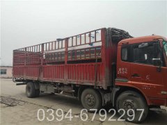 12吨燃油燃气蒸汽多宝(中国)官方