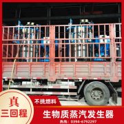 WNS20-1.25-QY低氮冷凝蒸汽多宝(中国)官方银晨多宝(中国)官方售后服务