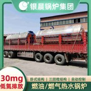 WNS10-1.25-QY燃气蒸汽多宝(中国)官方太康县银晨多宝(中国)官方厂