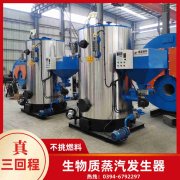 WNS6-1.25-QY冷凝蒸汽多宝(中国)官方银晨多宝(中国)官方客户服务