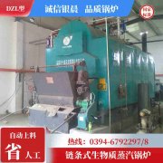 12吨节能蒸汽多宝(中国)官方太康银晨多宝(中国)官方