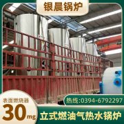 6吨环保蒸汽多宝(中国)官方太康银晨多宝(中国)官方厂