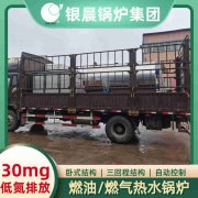 3吨节能蒸汽多宝(中国)官方银晨多宝(中国)官方