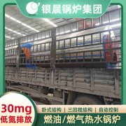 0.2吨低氮冷凝蒸汽多宝(中国)官方银晨多宝(中国)官方厂