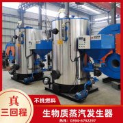 0.2吨低氮蒸汽多宝(中国)官方太康县银晨多宝(中国)官方厂