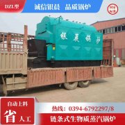 0.2吨低氮冷凝蒸汽多宝(中国)官方太康银晨多宝(中国)官方