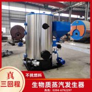 0.3吨环保蒸汽多宝(中国)官方河南银晨多宝(中国)官方集团