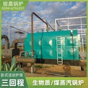 10t燃气多宝(中国)官方