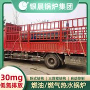 2吨燃气燃气多宝(中国)官方